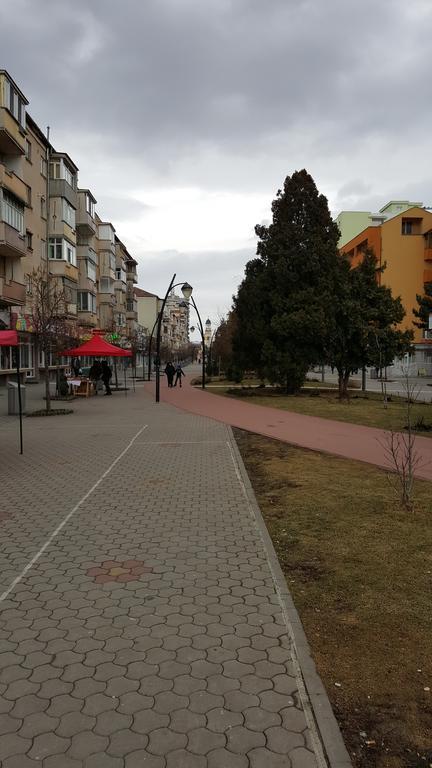 La Garson Apartment Alba Iulia Exterior photo